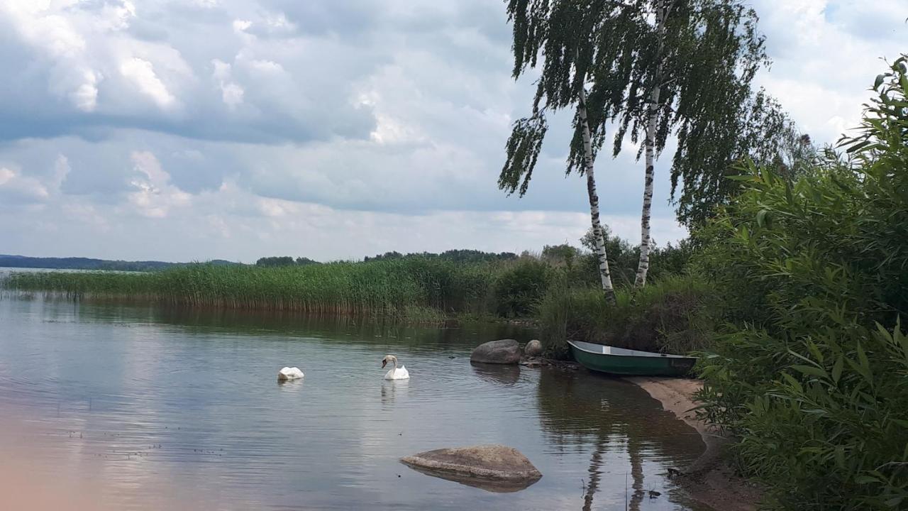 Viesu Maja "Osmany" Hotel Dvarci ภายนอก รูปภาพ
